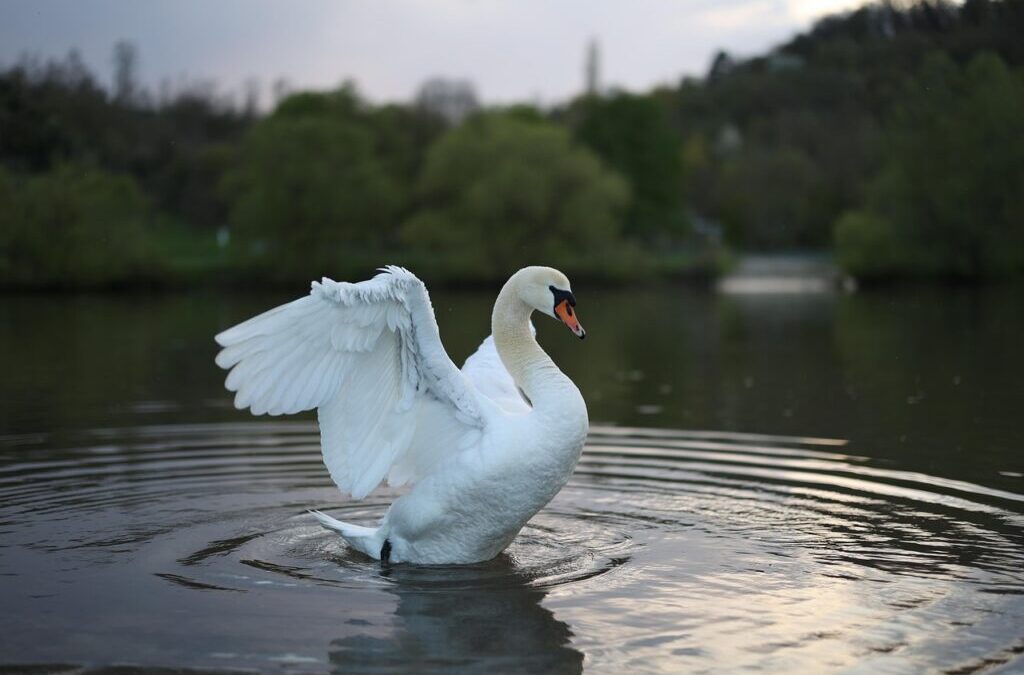 Water Reclamation ~ Unraveling The Mystery Of Water In The…