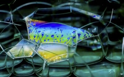 Water Reclamation: TL;DR – The Quick Scoop! Imagine A Giant…