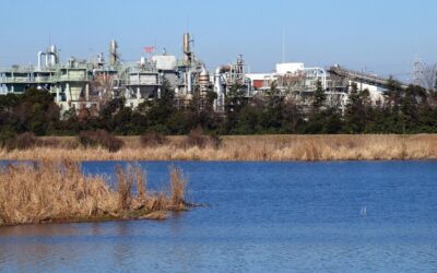 Water Treatment Solutions For Laguna Salada / Water’s Desert Dance:…