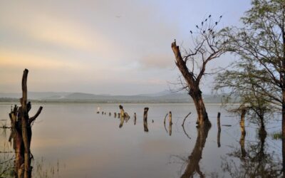 Water Treatment Solutions For Laguna Salada | 💧 Quick Dip:…
