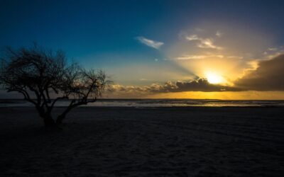 The Great Basin Desert – The Scoop: What You’ll Learn…