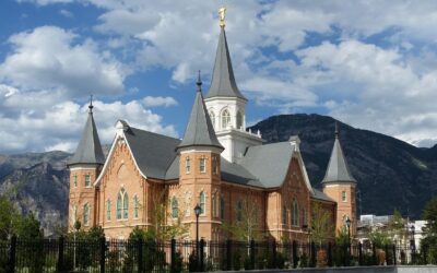 Affordable Weed Control In Tooele County, Utah: Beat The Weeds,…
